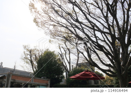 赤い傘がある風景 114916494