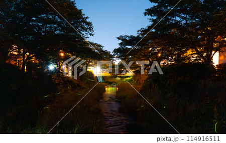 山口市一の坂ほたる 114916511