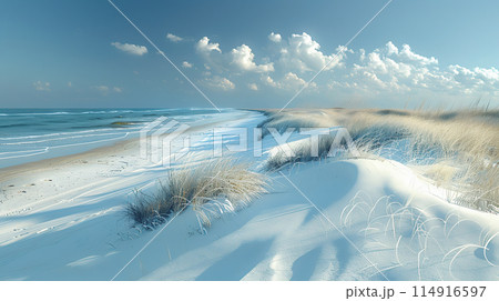 美しい砂丘と青い海の風景 114916597