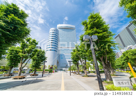 「埼玉県」新緑の鐘塚公園と大宮ソニックシティーの風景 114916632