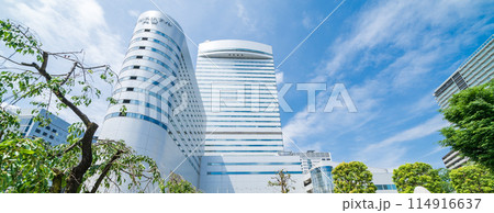 「埼玉県」新緑の鐘塚公園と大宮ソニックシティーの風景 「埼玉県」新緑の鐘塚公園と大宮ソニックシティーの風景 114916637
