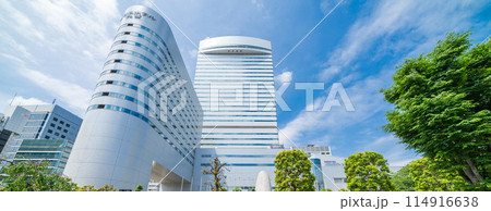 「埼玉県」新緑の鐘塚公園と大宮ソニックシティーの風景 114916638
