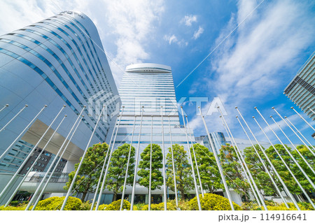 「埼玉県」新緑の鐘塚公園と大宮ソニックシティーの風景 「埼玉県」新緑の鐘塚公園と大宮ソニックシティーの風景 114916641