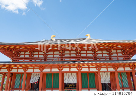 快晴の奈良、興福寺の中金堂 114916794