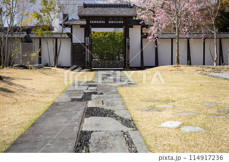 みやぎの明治村　春の登米町武家屋敷 114917236