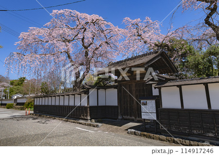 宮城の明治村　武家屋敷清野家の満開のシダレザクラ 114917246