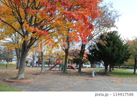 福住小川公園　北海道札幌市豊平区 114917586