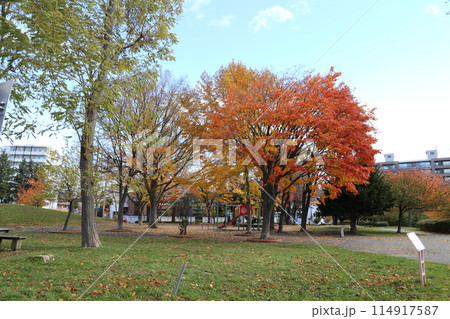 秋の福住小川公園 秋の福住小川公園 114917587