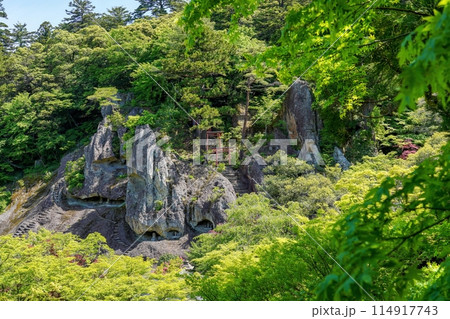 新緑に包まれた境内の情景 新緑に包まれた境内の情景 114917743