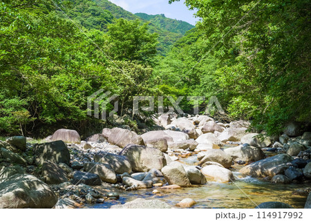 爽やかな夏の峡谷《鈴鹿国定公園・宮妻峡》 114917992