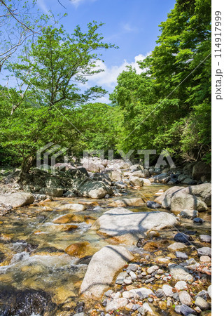 爽やかな夏の峡谷《鈴鹿国定公園・宮妻峡》 114917999
