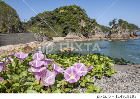 浦富海岸　新緑・初夏のサイクリングイメージ 114919195