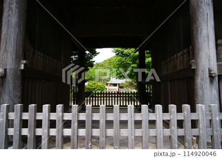 称名寺 仁王門からの浄土式庭園 114920046