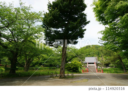 称名寺 浄土式庭園 称名寺 浄土式庭園 114920316