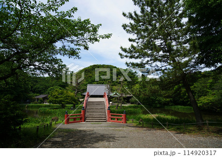 称名寺 浄土式庭園 称名寺 浄土式庭園 114920317