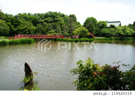 称名寺 阿字ヶ池からの風景 称名寺 阿字ヶ池からの風景 114920319