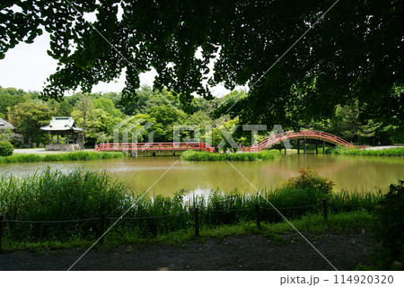 称名寺　反橋・中島・平橋を配した浄土式庭園　 114920320