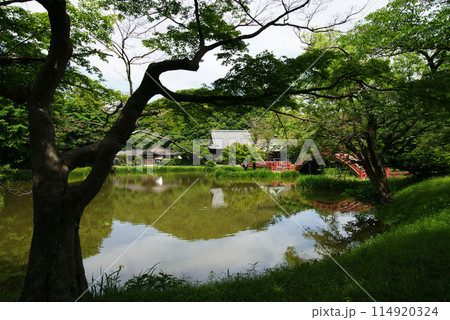 称名寺　浄土式庭園　 114920324