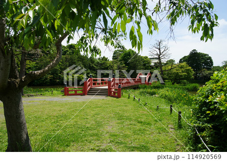 称名寺 朱塗りの反橋と平橋 称名寺 朱塗りの反橋と平橋 114920569