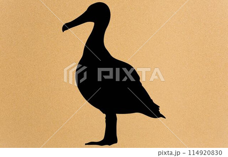albatross silhouette, albatross silhouette black vector illustration 114920830