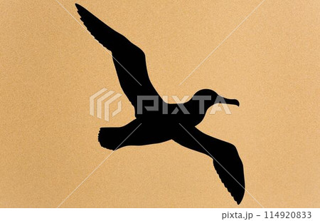 albatross silhouette, albatross silhouette black vector illustration albatross silhouette, albatross silhouette black vector illustration 114920833