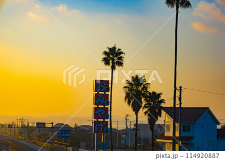 早朝の館山の一般道でヤシの木の並木道の大通りをドライブ・おみやげの看板(千葉県館山市) 早朝の館山の一般道でヤシの木の並木道の大通りをドライブ・おみやげの看板(千葉県館山市) 114920887