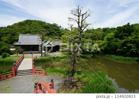 称名寺 反橋から見た金堂 釈迦堂 称名晩鐘 称名寺 反橋から見た金堂 釈迦堂 称名晩鐘 114920913