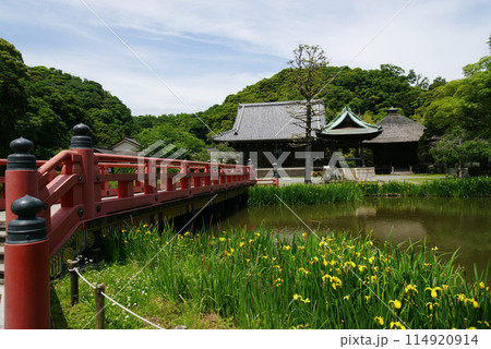 称名寺　中島から見た金堂　釈迦堂　称名晩鐘 114920914