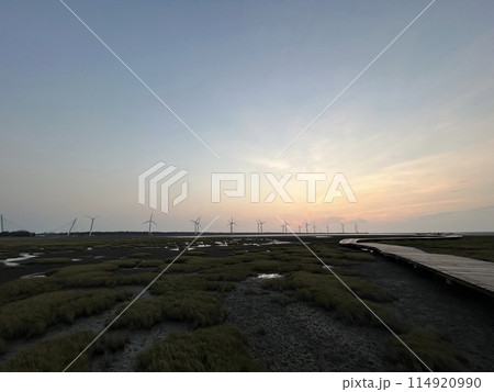 【台湾】高美湿地の夕日と風車の景色 114920990