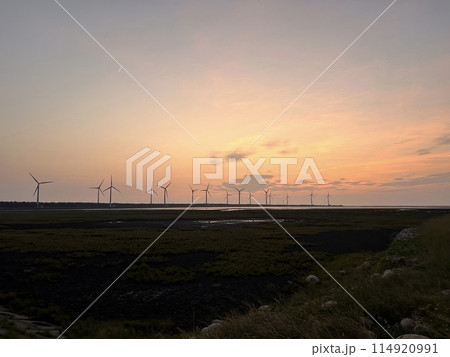 【台湾】高美湿地の夕日と風車の景色 【台湾】高美湿地の夕日と風車の景色 114920991