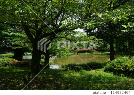 称名寺 阿字ヶ池からの反橋風景 称名寺 阿字ヶ池からの反橋風景 114921464
