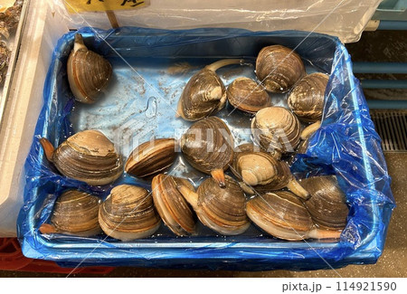 はまぐり 海鮮市場 はまぐり 海鮮市場 114921590