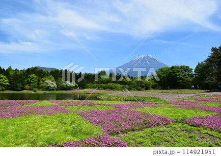富士山と広がる芝桜 - 富士芝桜まつり 114921951