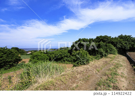 青空と緑の畑のある風景 青空と緑の畑のある風景 114922422