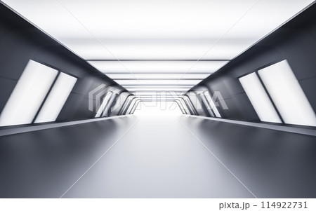 Empty tunnel with futuristic style, 3d rendering. 114922731