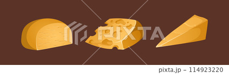 Different types of cheeses vector set. Colorful and bright illustration in realistic style. Ideal for posters and banner, menu of cafe and shops Different types of cheeses vector set. Colorful and bright illustration in realistic style. Ideal for posters and banner, menu of cafe and shops 114923220