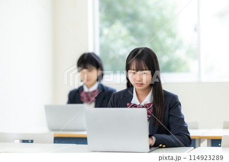 ノートパソコンで勉強する女子高生 撮影協力:有明教育芸術短期大学 ノートパソコンで勉強する女子高生 撮影協力:有明教育芸術短期大学 114923289