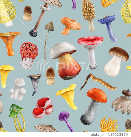 Bright different mushrooms seamless pattern. Hand drawn watercolor illustration. Various fungus elements seamless pattern. Colorful mushroom collection. Light color background 114923559