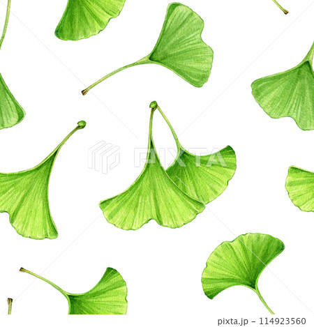 Ginkgo tree green leaf seamless pattern. Watercolor painted botanical illustration. Hand drawn ginkgo biloba leaf medicinal plant natural element seamless pattern. White background 114923560