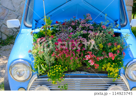 ローザンベリー多和田 薔薇のシーズン ローザンベリー多和田 薔薇のシーズン 114923745