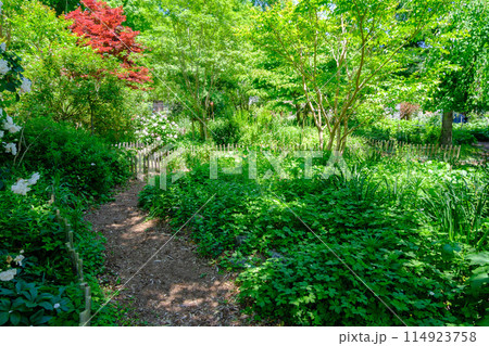 ローザンベリー多和田 薔薇のシーズン ローザンベリー多和田 薔薇のシーズン 114923758