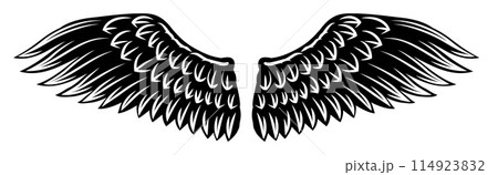 Angel Eagle Wings Feather Wing Set Illustration 114923832