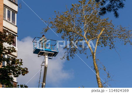 employee rises on a car tower to saw off dangerously growing branches 114924169