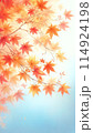 秋の空と紅葉 114924198