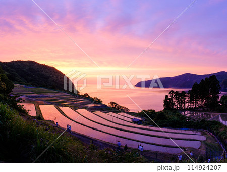 たがらす棚田キャンドル 114924207