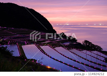 たがらす棚田キャンドル 114924212