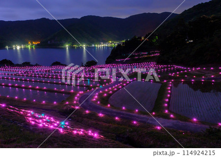 たがらす棚田キャンドル たがらす棚田キャンドル 114924215