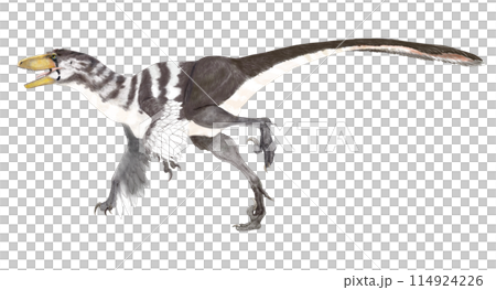 Dakotaraptor A large dromaeosaurus Dakotaraptor A large dromaeosaurus 114924226