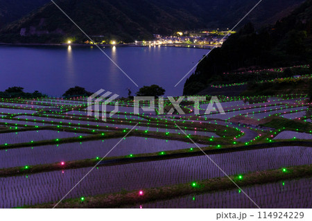 たがらす棚田キャンドル たがらす棚田キャンドル 114924229