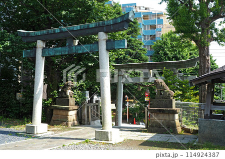 鳩ケ谷氷川神社の鳥居【埼玉県川口市】 鳩ケ谷氷川神社の鳥居【埼玉県川口市】 114924387